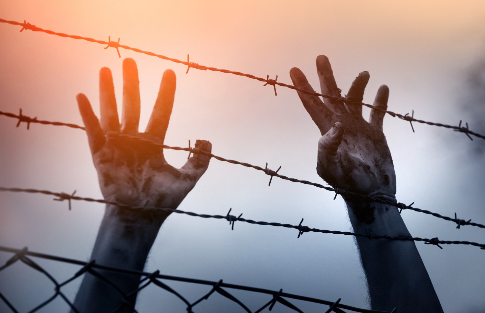 Hands at a Barbed Wire