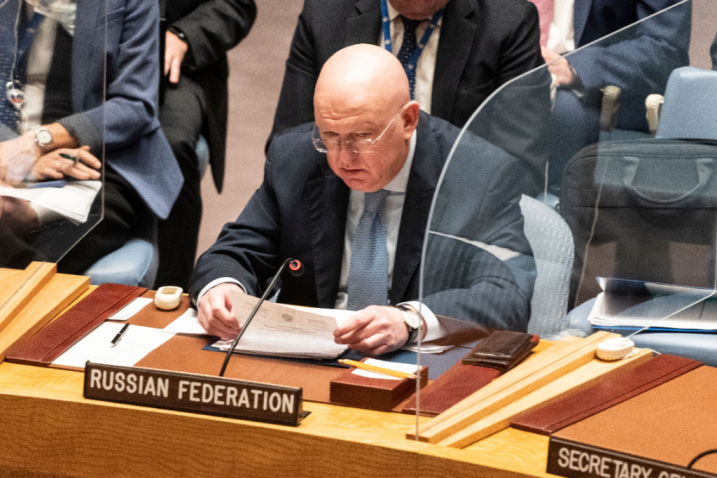 Russian Ambassador Vassily Nebenzia speaks at the Security Council